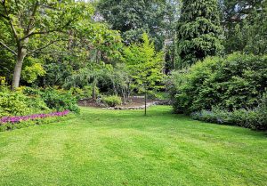 Optimiser l'expérience du jardin à Aillevillers-et-Lyaumont